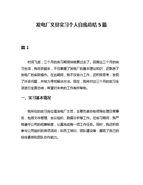 发电厂文员实习个人自我总结5篇