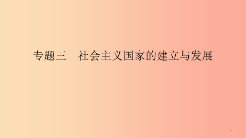 2019春九年级历史下册 第五单元 冷战和美苏对峙的世界 专题三 社会主义国家的建立与发展课件 新人