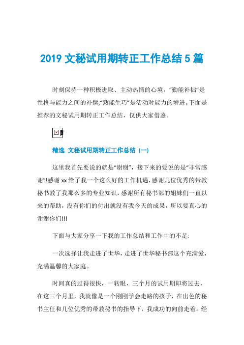 2019文秘试用期转正工作总结5篇