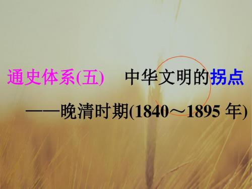 2018届高考创新专题二轮复习历史课件：白皮书第二部分 中国近现代史 通史体系五 中华文明的拐点 精品