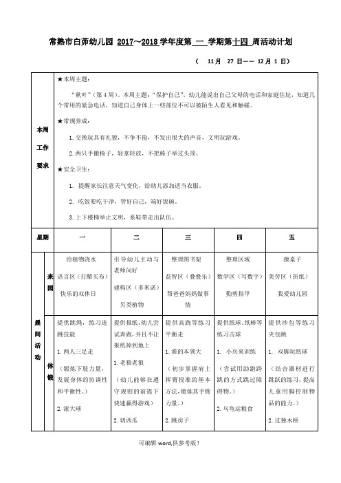 大班上第十四周周计划