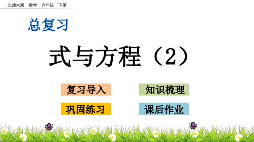 六年级下册数学课件-总复习 1.12 式与方程(2)_北师大版(X秋)(共14张PPT)
