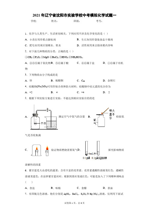 2021年辽宁省沈阳市实验学校中考模拟化学试题一