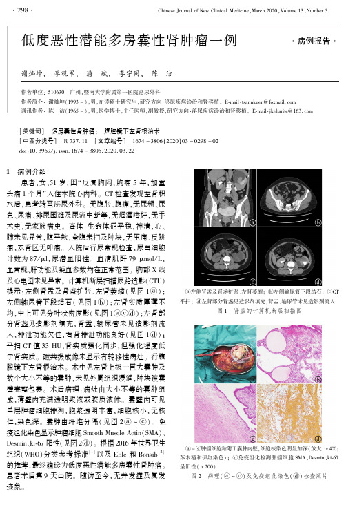 低度恶性潜能多房囊性肾肿瘤一例