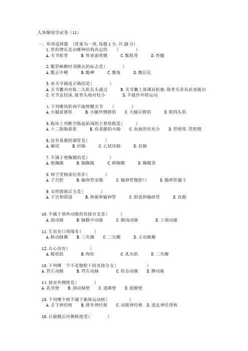 人体解剖学试卷(11)及答案.doc