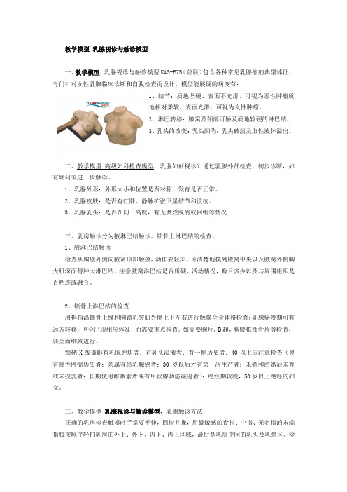 教学模型 乳腺视诊与触诊模型