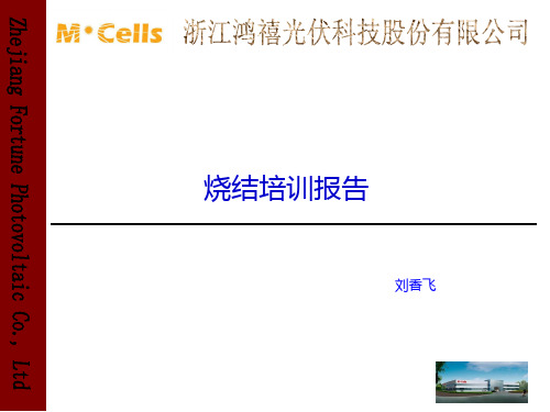 烧结培训报告