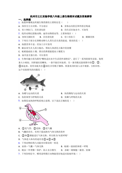 杭州市之江实验学校八年级上册生物期末试题及答案解答