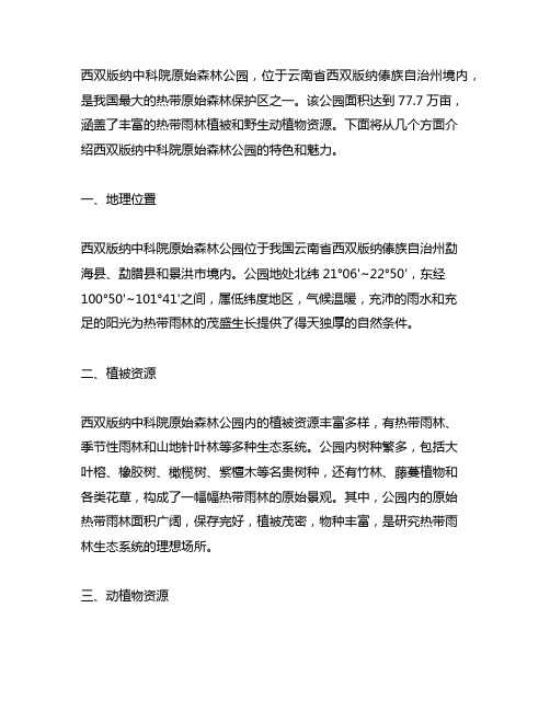 西双版纳中科院原始森林公园介绍