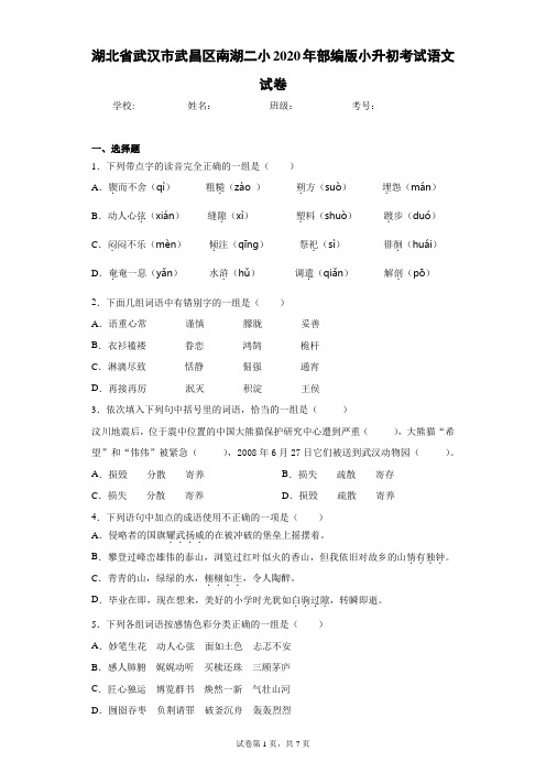 湖北省武汉市武昌区南湖二小2020年部编版小升初考试语文试卷(含答案解析)