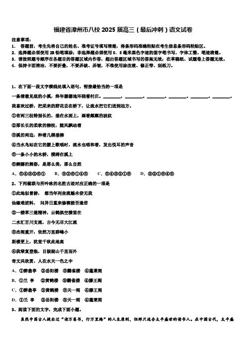 福建省漳州市八校2025届高三(最后冲刺)语文试卷含解析