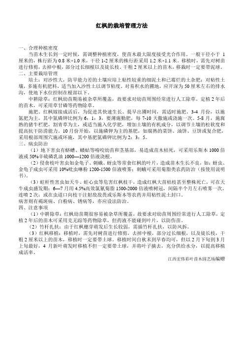 红枫栽培及养护