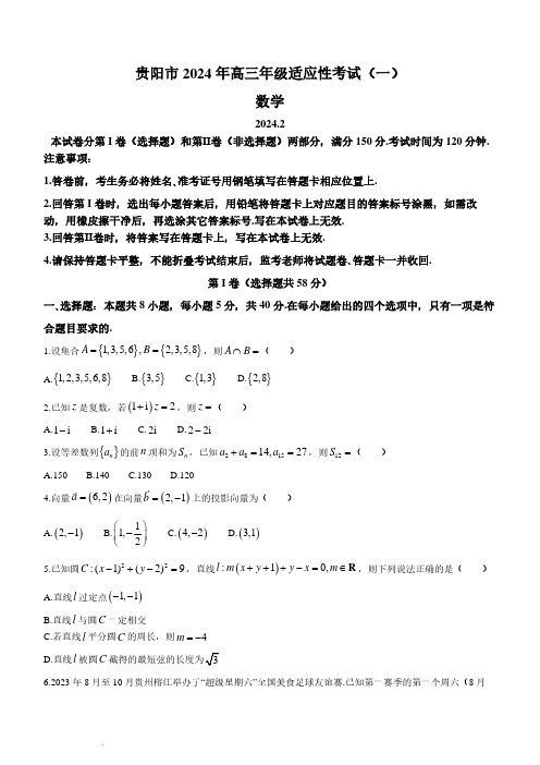 2024届贵州省贵阳市高三下学期一模数学试题及答案