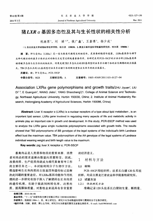 猪LXRα基因多态性及其与生长性状的相关性分析