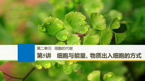 2019版高考生物一轮浙江课件：第二单元 细胞的代谢 第