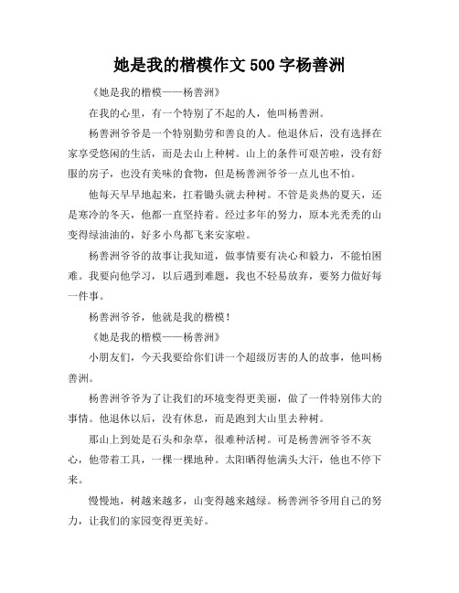 她是我的楷模作文500字杨善洲