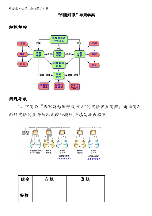 北京2017届高考生物复习备考学案-细胞呼吸 单元复习 含答案