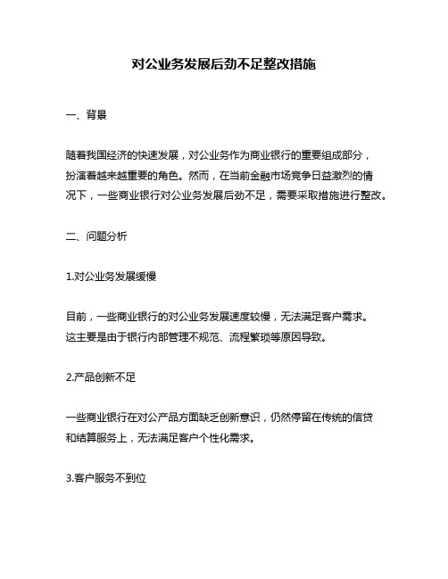 对公业务发展后劲不足整改措施