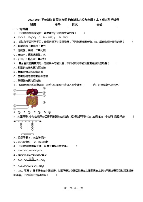 2023-2024学年浙江省嘉兴市桐乡市浙北六校九年级(上)期末科学试卷(1)