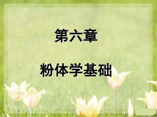 药剂学第六章粉体学基础