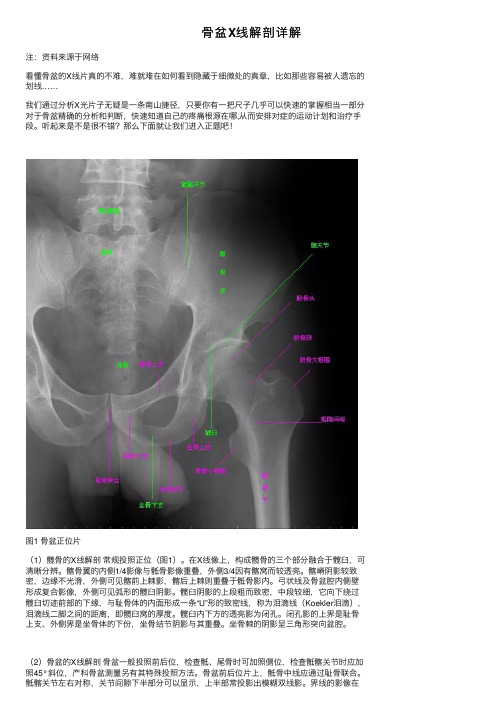 骨盆X线解剖详解