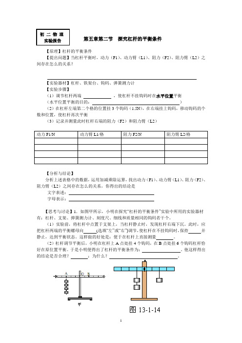 实验报告——探究杠杆的平衡条件