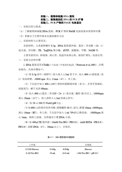 实验123PCR产物的PAGE电泳鉴定