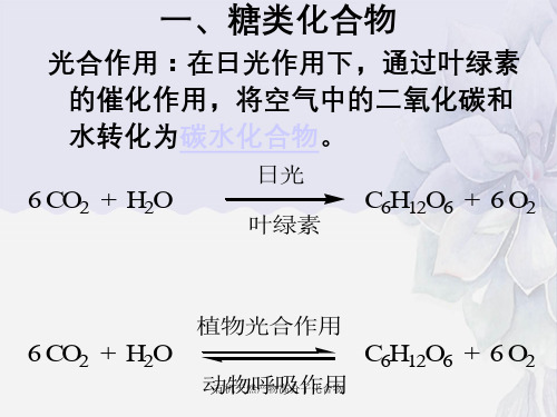 有机天然产物高分子化合物