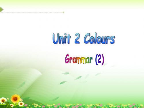 译林版九年级英语上册Unit 2 Colours Grammar (共17张PPT)