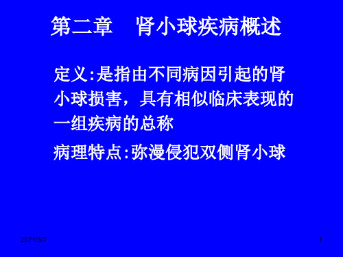 肾小球疾病概述课件PPT