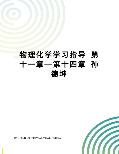 物理化学学习指导第十一章—第十四章孙德坤