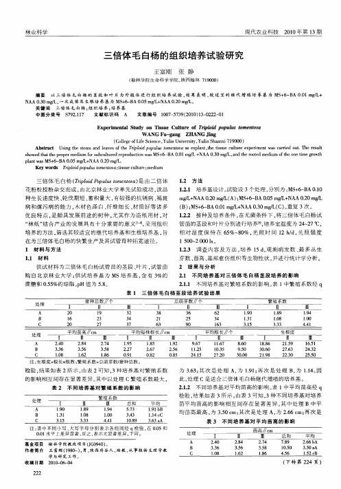 三倍体毛白杨的组织培养试验研究