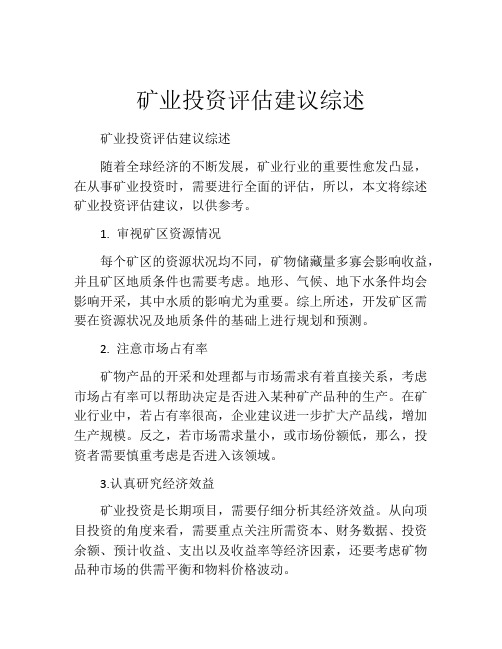 矿业投资评估建议综述