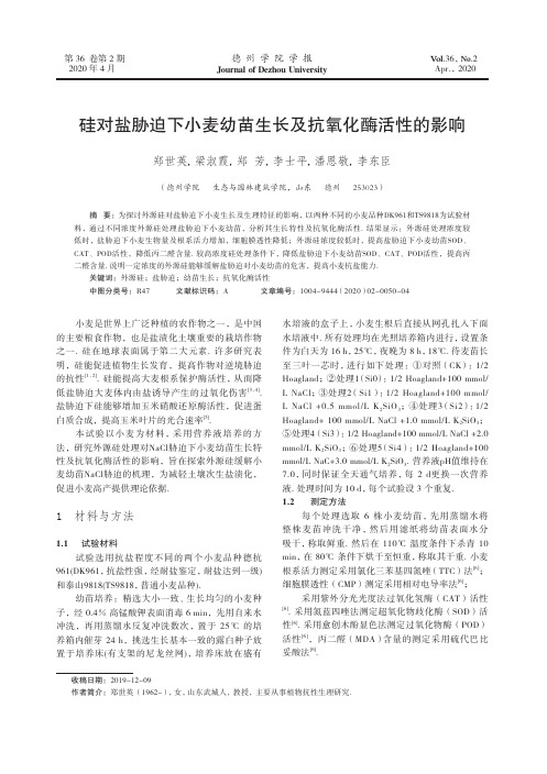 硅对盐胁迫下小麦幼苗生长及抗氧化酶活性的影响