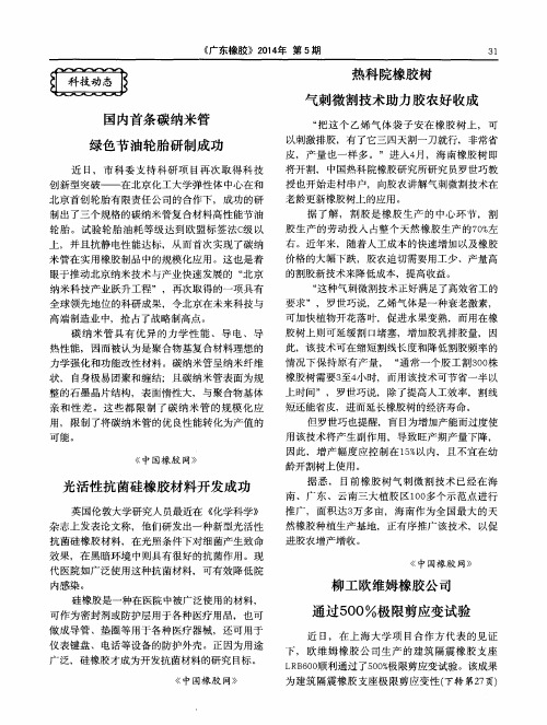 热科院橡胶树气刺微割技术助力胶农好收成