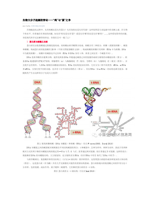 生物大分子起源的悖论——“鸡”与“蛋”之争