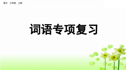 三年级语文上册优秀PPT课件专项2:词语复习课件