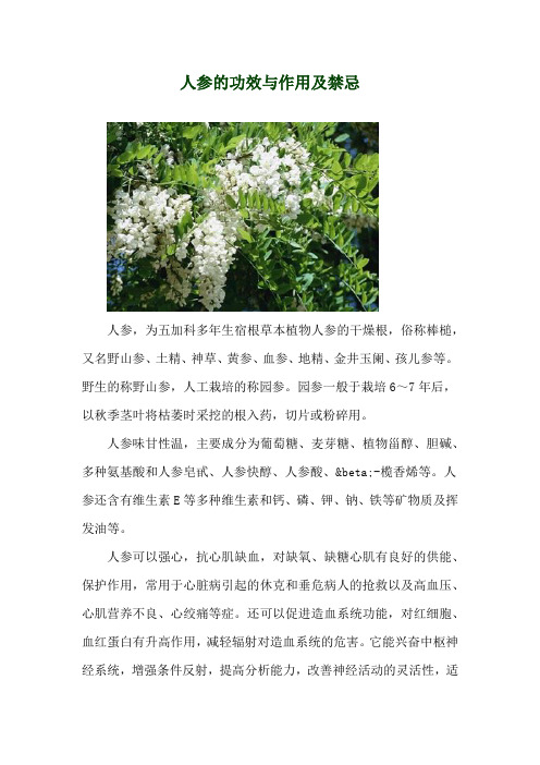 人参的功效与作用及禁忌