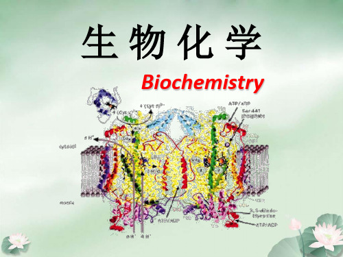 生物化学的发展简史.