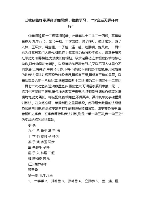 武林秘籍红拳通背详细图解，收藏学习，“学会后天涯任君行”