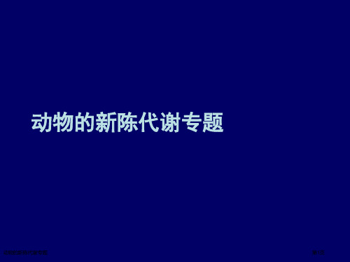 动物的新陈代谢专题