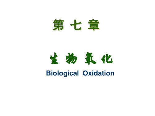 生物化学：第七章 生物氧化