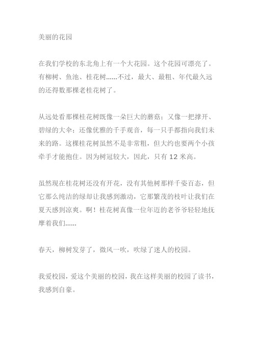 美丽的花园作文300字