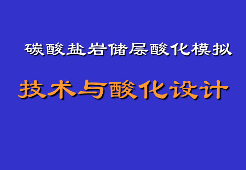 碳酸盐岩储层酸化模拟技术与酸化设计