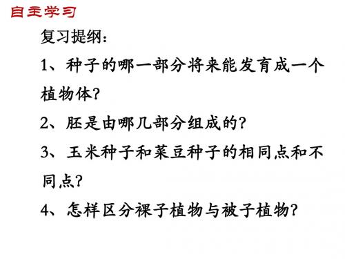 人教版七年级生物上册第三单元第二章第一节种子的萌发