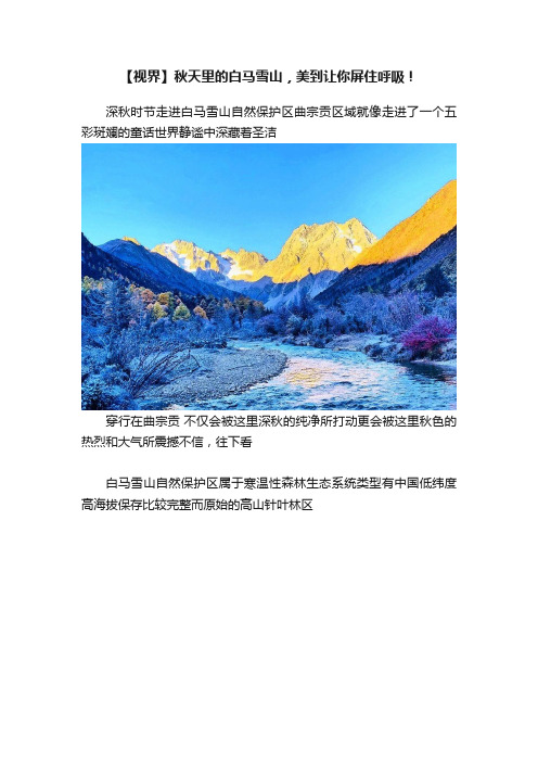 【视界】秋天里的白马雪山，美到让你屏住呼吸！