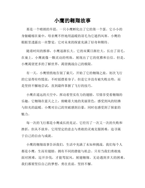 小鹰的翱翔故事