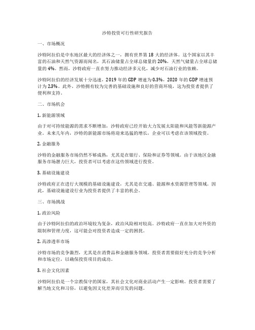 沙特投资可行性研究报告