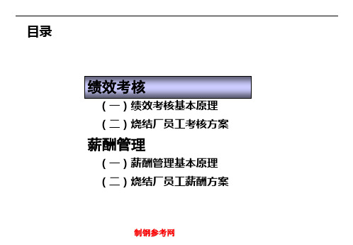 钢铁公司烧结厂绩效考核和薪酬方案ppt