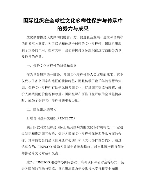 国际组织在全球性文化多样性保护与传承中的努力与成果